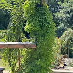 Garden - The Nest Holiday home *