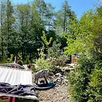Garden - The Nest * Drahobudice