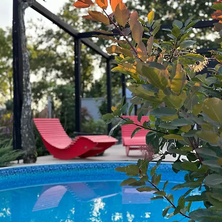 Garden - The Nest בית נופש