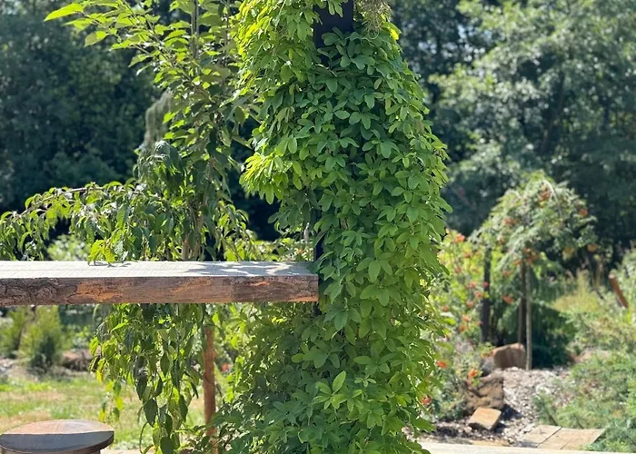 Garden - The Nest بيت للعطل *